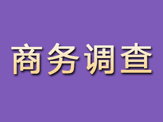 柯城商务调查