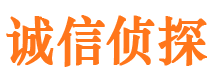 柯城市私家侦探